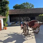 Country house Aveiro Maias Village - Casa Da Rosa *