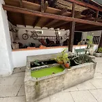 Country house Aveiro Maias Village - Casa Da Rosa Oliveirinha