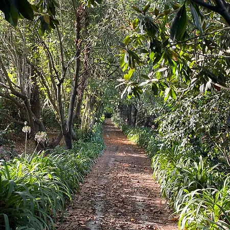 Casa Da Rosa - Aveiro Maias Village Εξοχικό σπίτι Oliveirinha