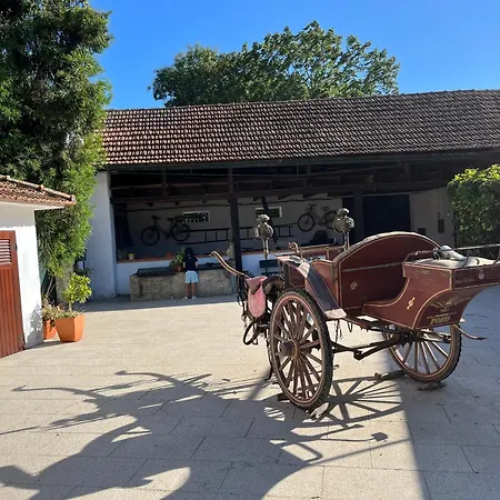 Εξοχικό σπίτι Casa Da Rosa - Aveiro Maias Village *