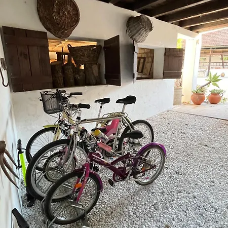 Casa Da Rosa - Aveiro Maias Village Εξοχικό σπίτι Oliveirinha