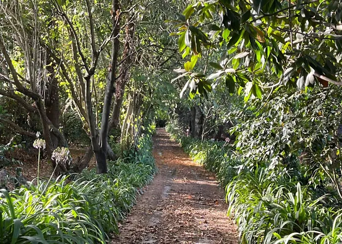 Aveiro Maias Village - Casa Da Rosa Country house Oliveirinha