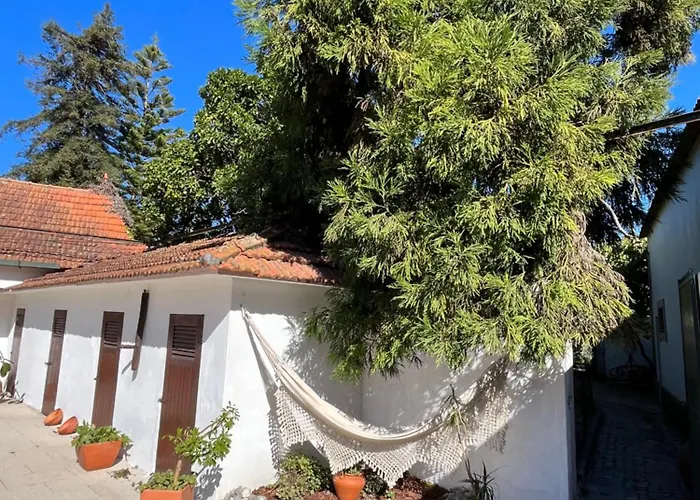 Aveiro Maias Village - Casa Da Rosa *