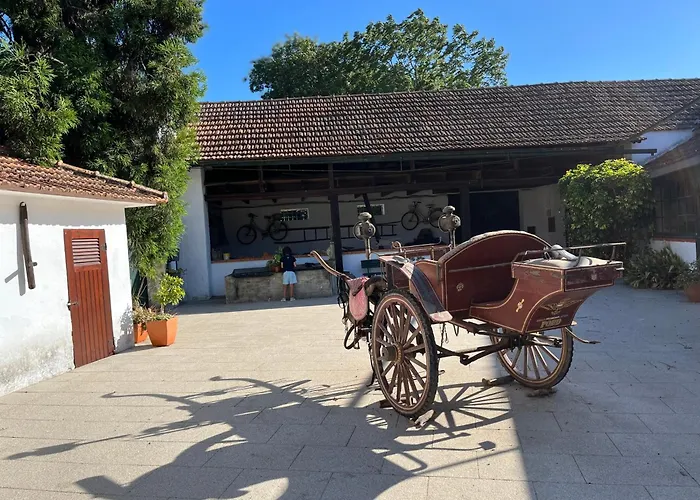 Country house Aveiro Maias Village - Casa Da Rosa *