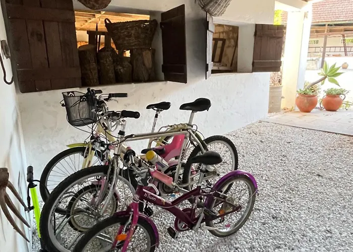 Aveiro Maias Village - Casa Da Rosa Country house Oliveirinha