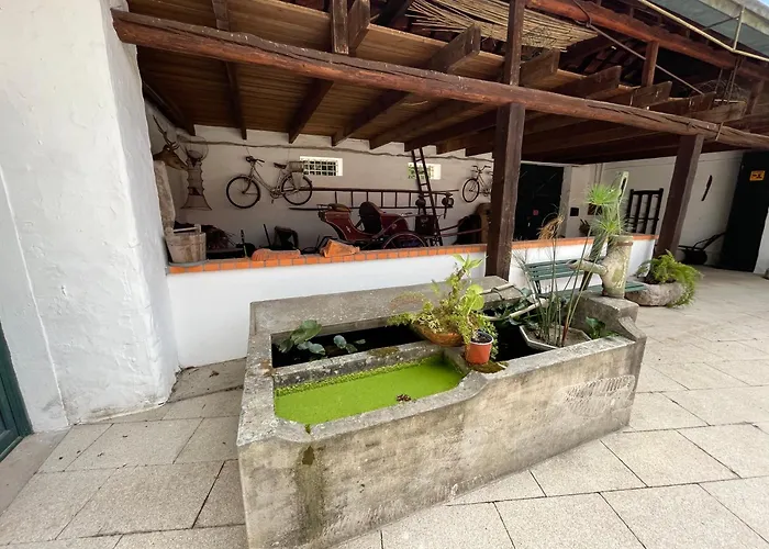 Country house Aveiro Maias Village - Casa Da Rosa Oliveirinha