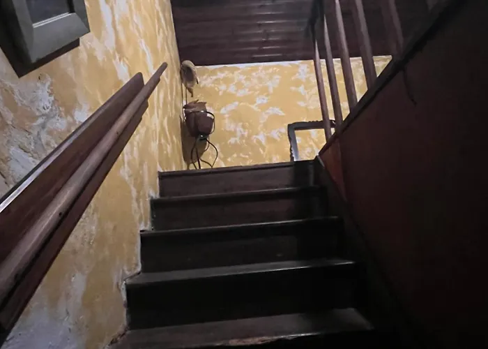 Country house Aveiro Maias Village - Casa Da Rosa Oliveirinha